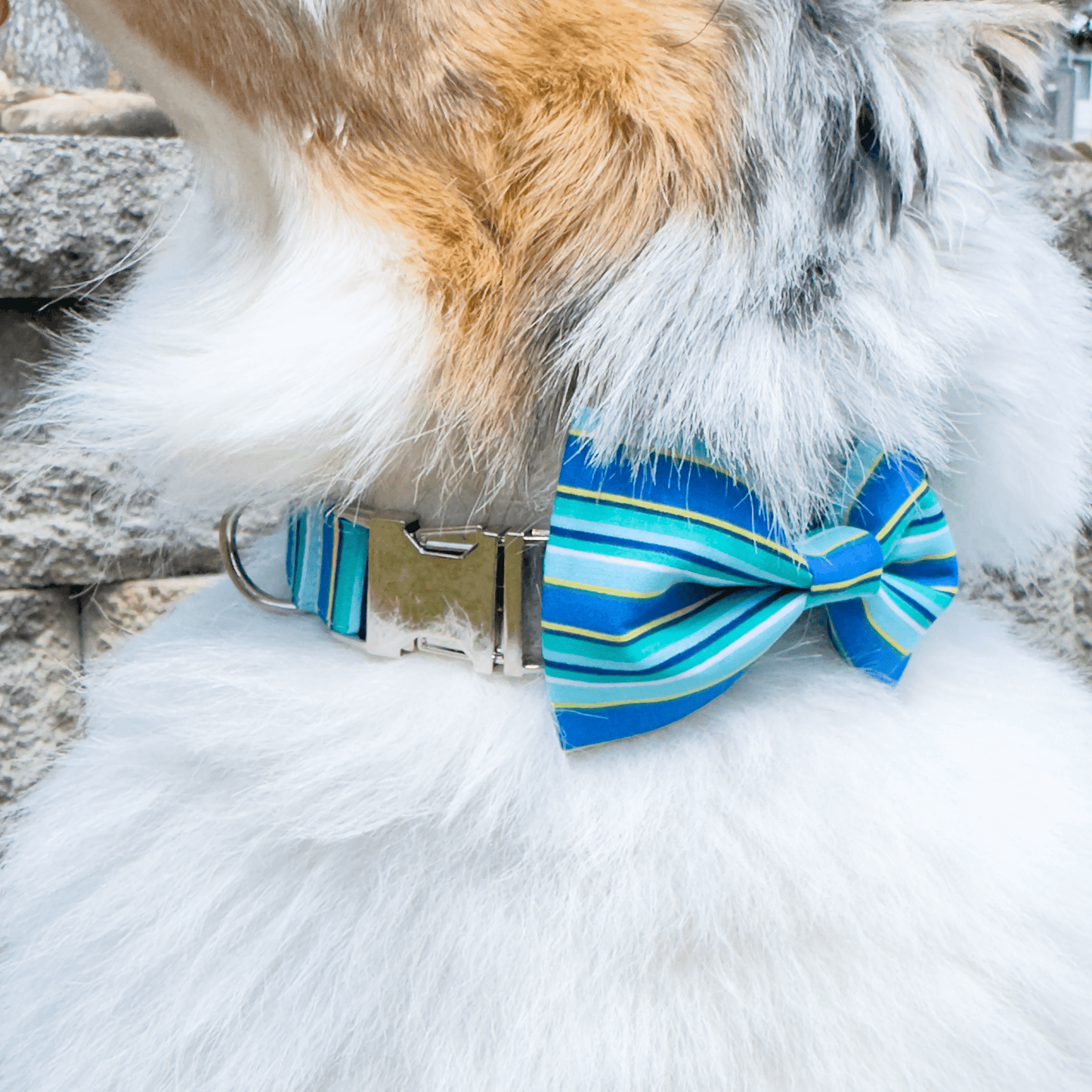 Blue Stripes Collar - Craft Designs By Kenz - Bowtie - Personalized Pet Collar