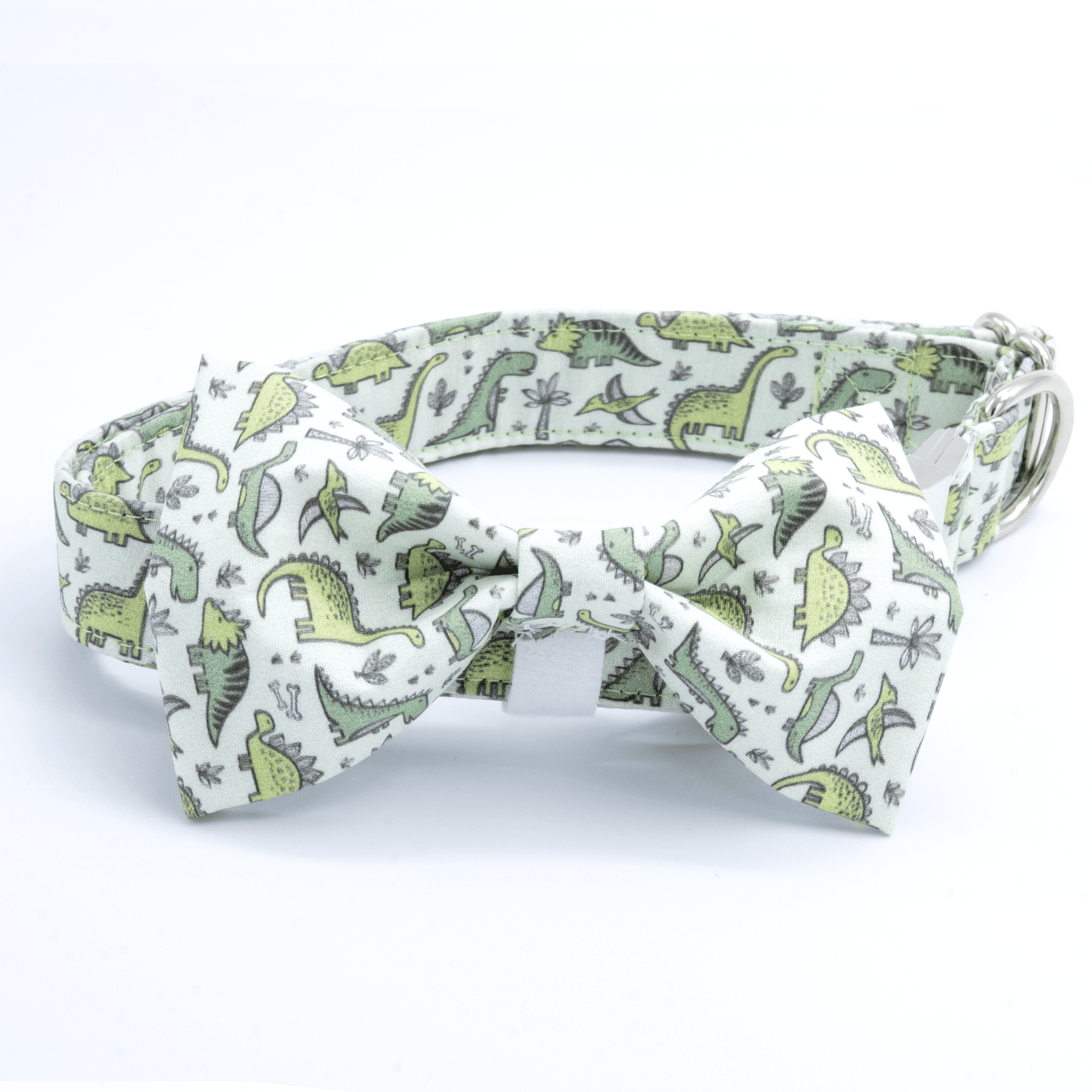 Dinosaur Collar - Craft Designs By Kenz - Collar - Personalized Pet Collar