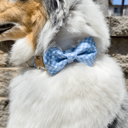 Blue Checkered Collar - Craft Designs By Kenz - Collar - Collar Set