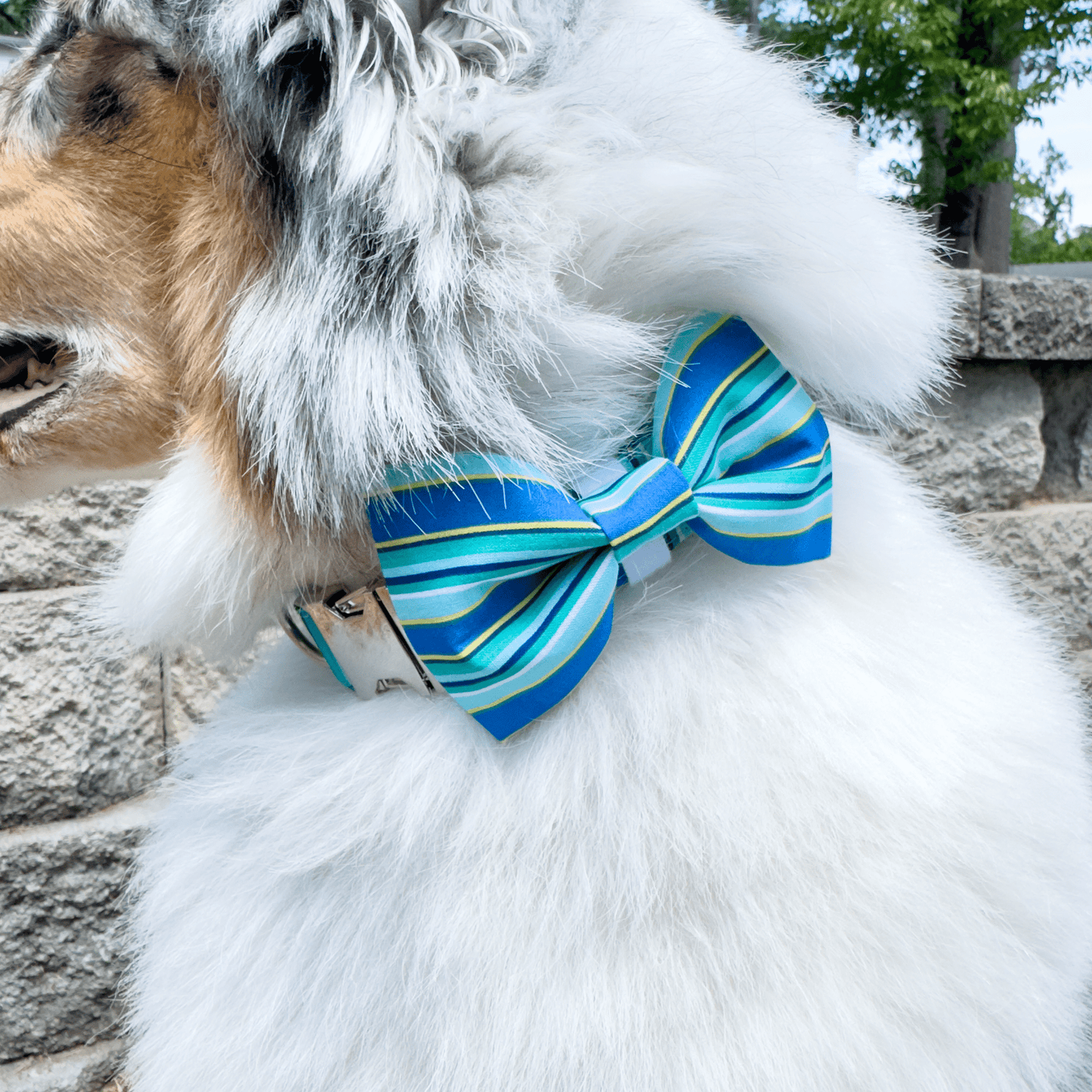 Blue Stripes Collar - Craft Designs By Kenz - Collar - Personalized Pet Collar
