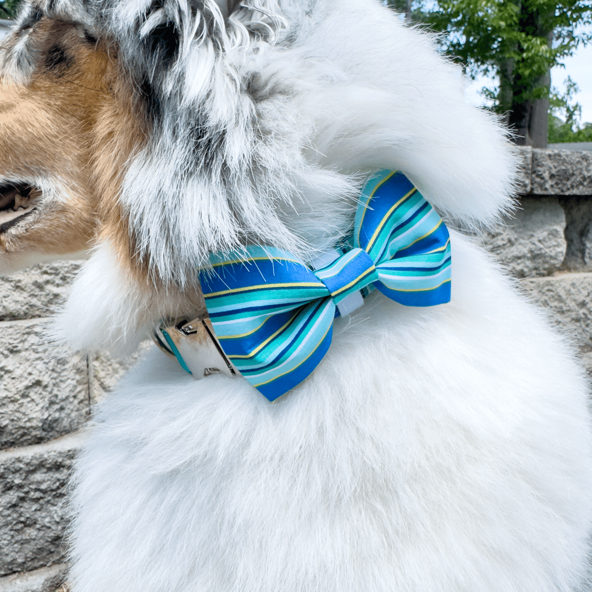 Blue Stripes Collar - Craft Designs By Kenz - Collar - Personalized Pet Collar