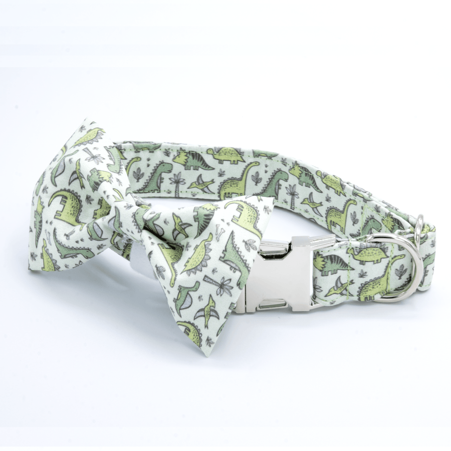 Dinosaur Collar