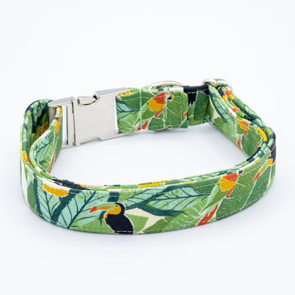 Jungle Collar Set - Craft Designs By Kenz - Collar (only) - Collar Set