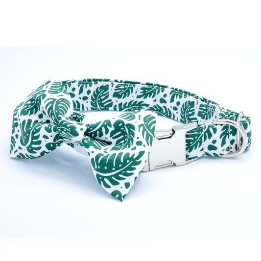 Jungle Palm Collar - Craft Designs By Kenz - Collar & Bowtie - Collar Set