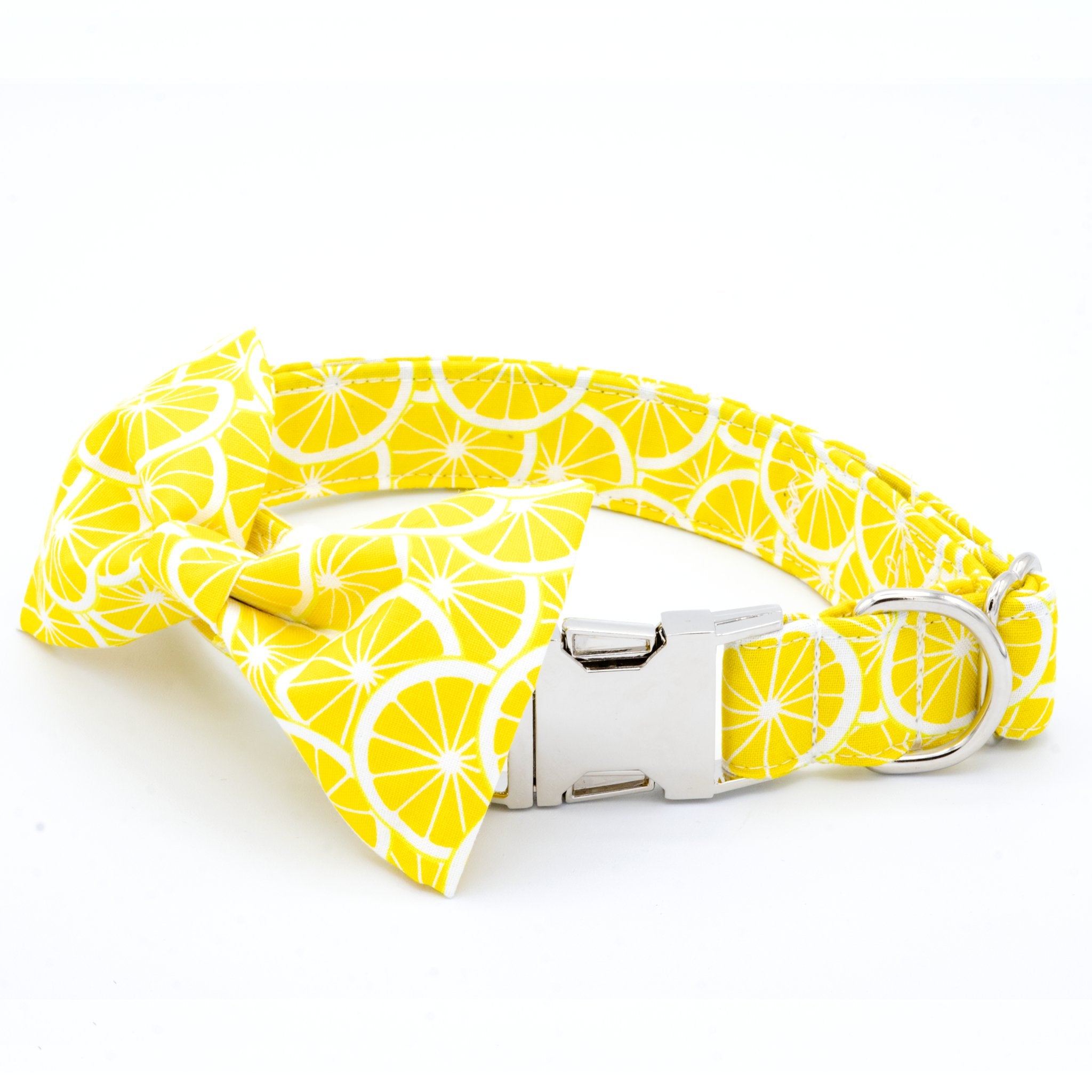 Lemon Dog Collar – Untamed Needle