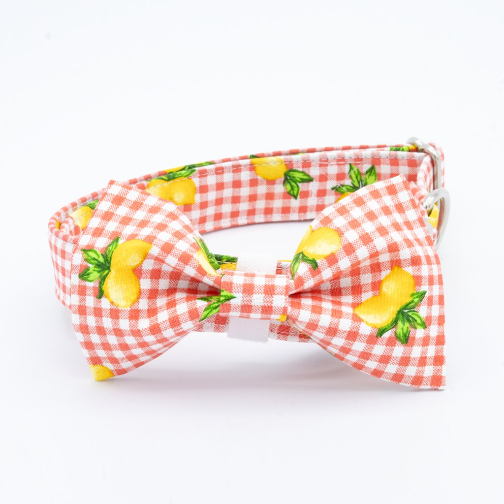 Lemons Collar Set - Craft Designs By Kenz - XS - Collar Set
