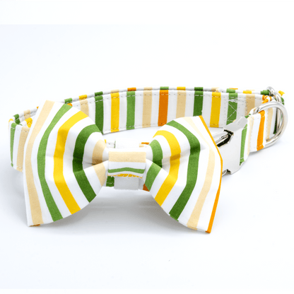 Nerdy Collar - Craft Designs By Kenz - Collar - Personalized Pet Collar