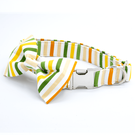 Nerdy Collar - Craft Designs By Kenz - Collar and Bowtie - Personalized Pet Collar