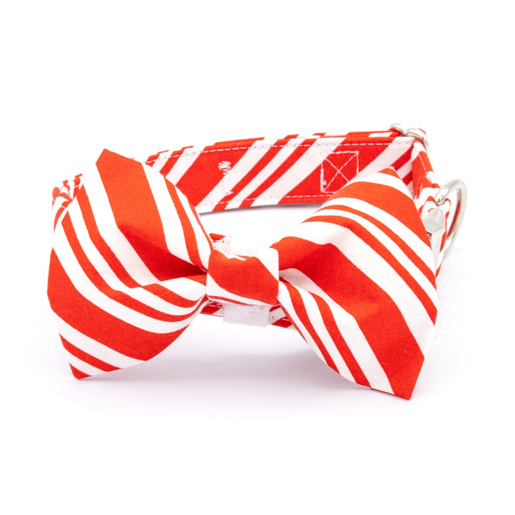 Candy Cane Dog Collar Set - Christmas Dog Collar - Craft Designs By Kenz Collar Set