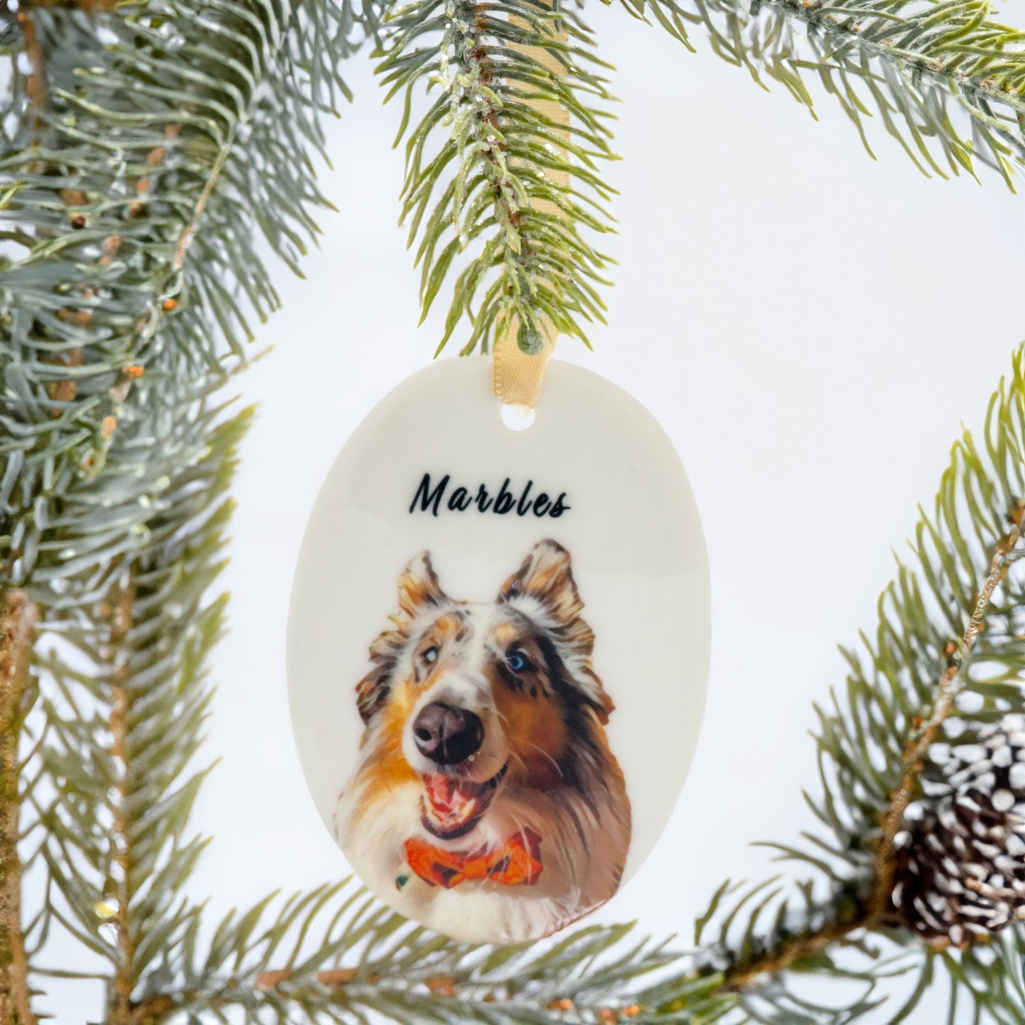 Personalized Pet Ornament - Craft Designs By Kenz - 1. Yellow - 