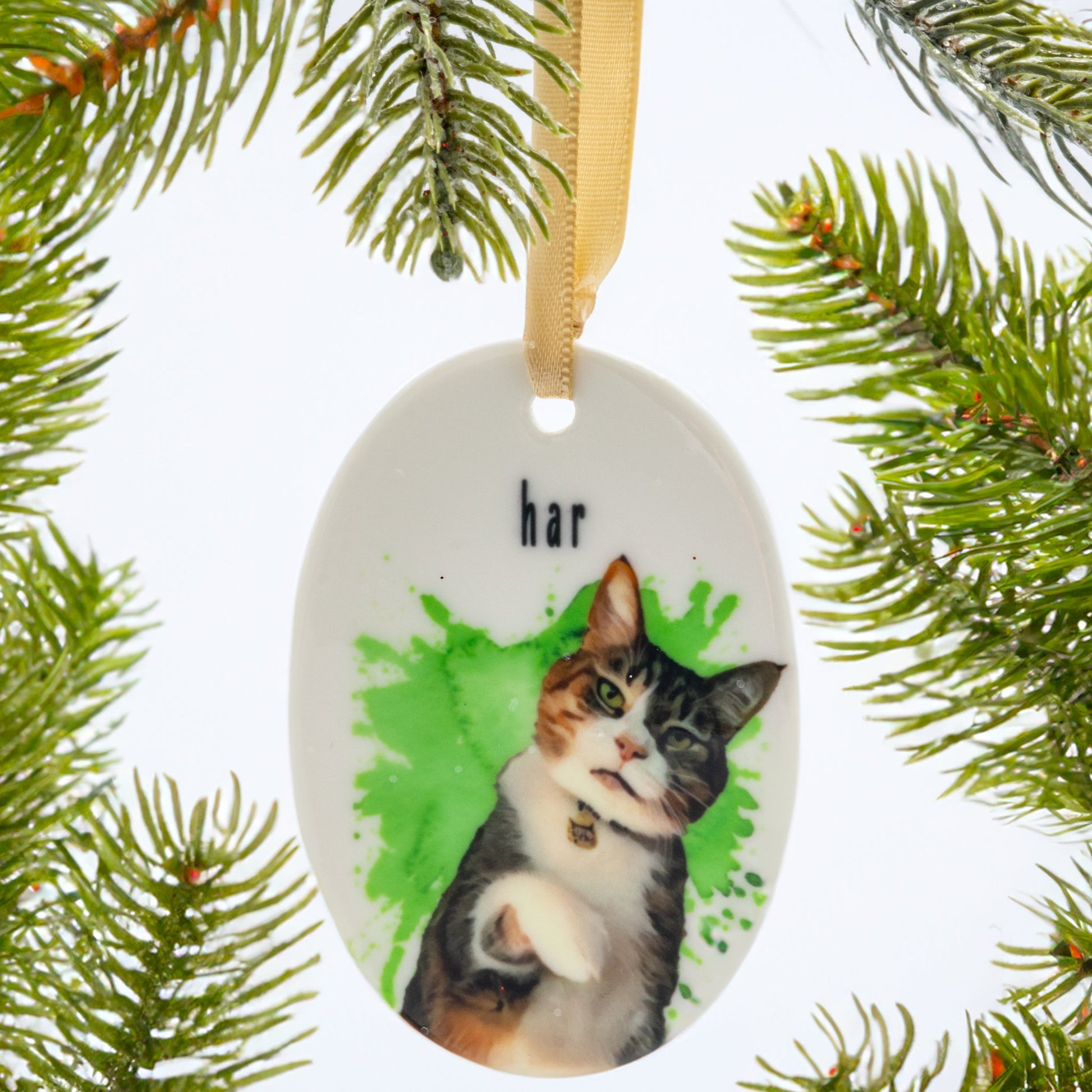 Personalized Pet Ornament - Craft Designs By Kenz - 1. Yellow - 