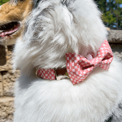 Pink Checkered Collar - Craft Designs By Kenz - Collar - Collar Set