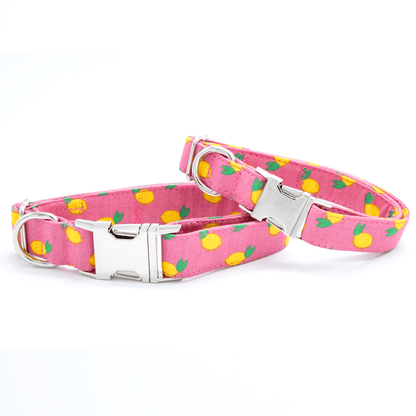 Pink Lemonade Collar - Craft Designs By Kenz - Collar - Personalized Pet Collar