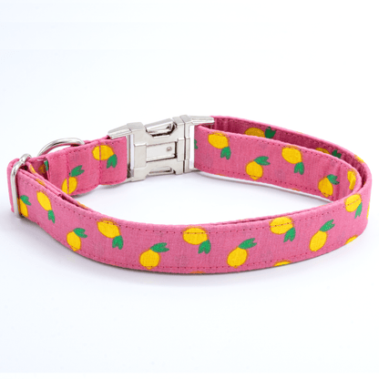 Pink Lemonade Collar - Craft Designs By Kenz - Collar - Personalized Pet Collar