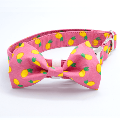 Pink Lemonade Collar - Craft Designs By Kenz - Collar - Personalized Pet Collar