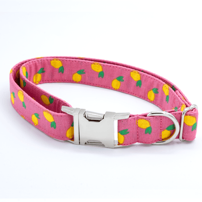 Pink Lemonade Collar - Craft Designs By Kenz - Collar - Personalized Pet Collar
