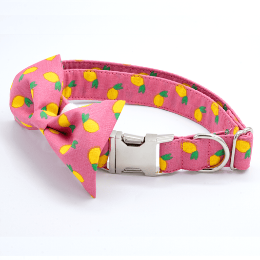Pink Lemonade Collar - Craft Designs By Kenz - Collar and Bowtie - Personalized Pet Collar