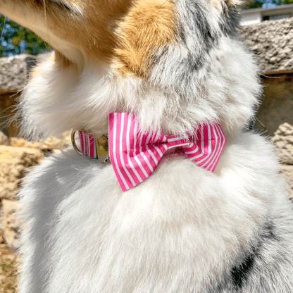 Pink Striped Collar - Craft Designs By Kenz - Collar - Collar Set