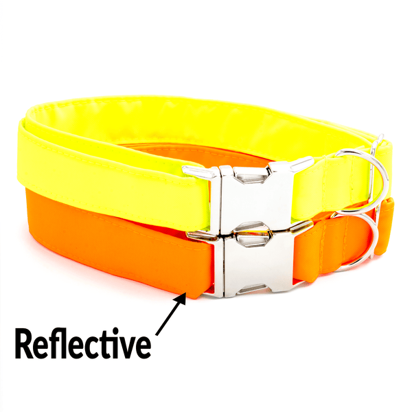 Reflective Collar