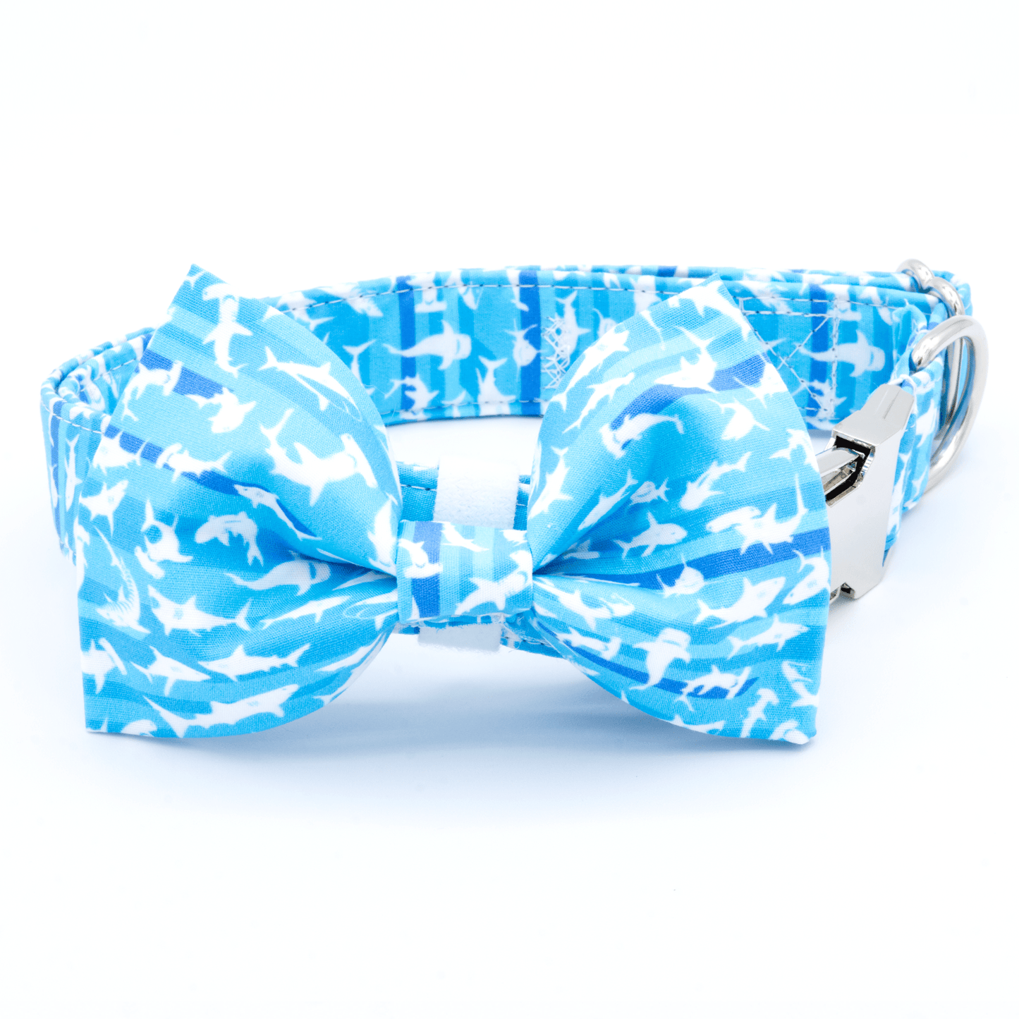 Shark Week Collar - Craft Designs By Kenz - Collar - Collar Set