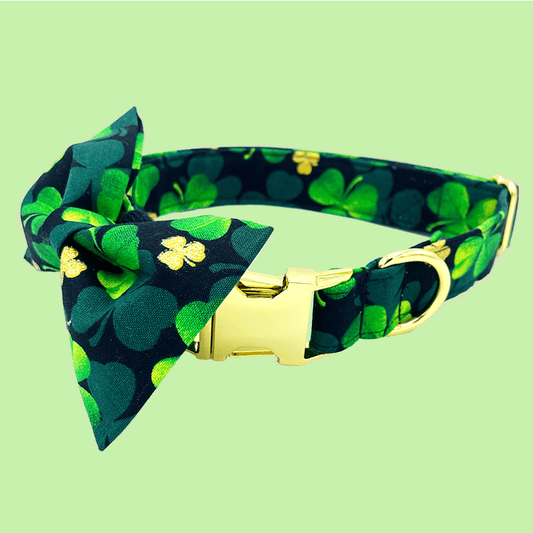 St Patrick's Day Collar - Craft Designs By Kenz - XS - Personalized Pet Collar