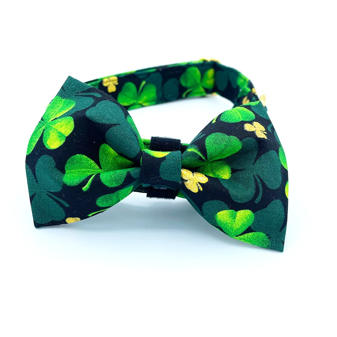 St Patrick's Day Collar - Clover Dog Collar - Craft Designs By Kenz - XS - Personalized Pet Collar