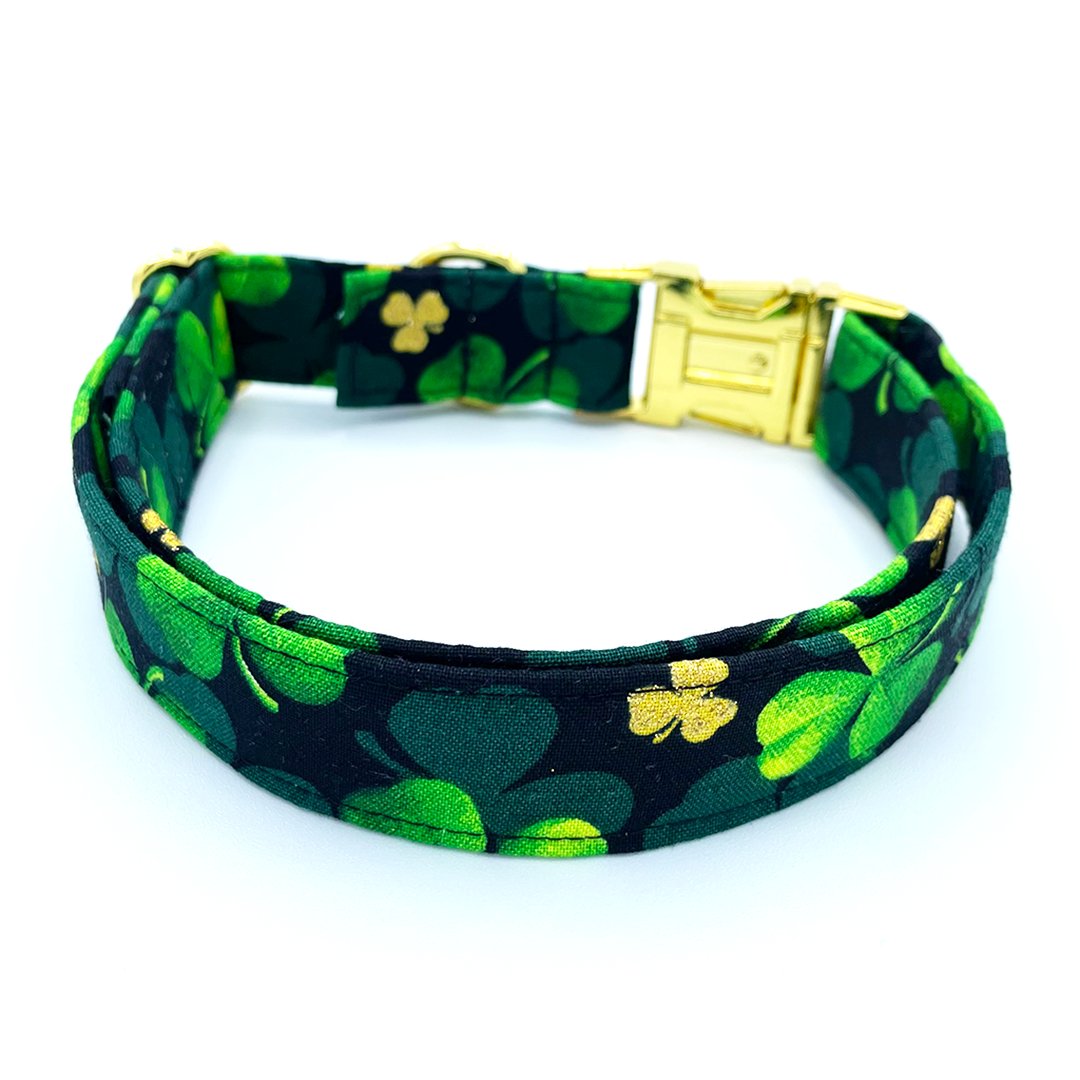 St Patrick's Day Collar - Clover Dog Collar - Craft Designs By Kenz Personalized Pet Collar
