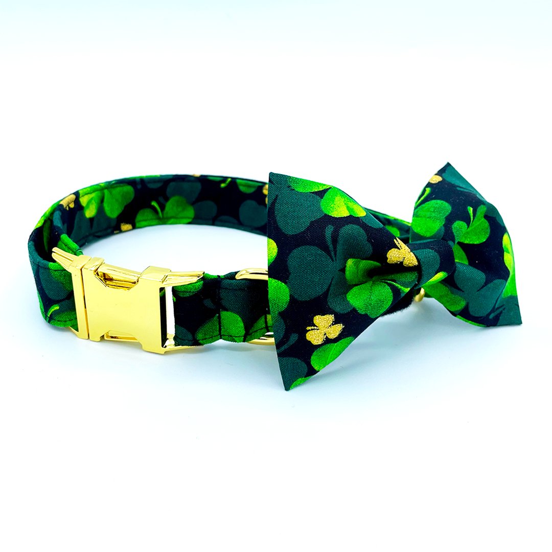 St Patrick's Day Collar - Clover Dog Collar - Craft Designs By Kenz Personalized Pet Collar