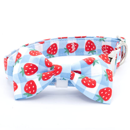 Strawberry Dog Collar - Craft Designs By Kenz Collar Set