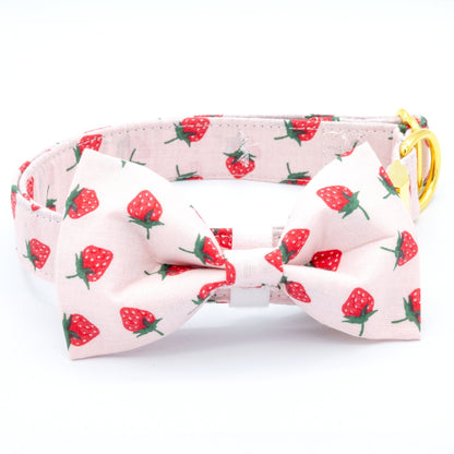 Strawberry Pink Dog Collar - Craft Designs By Kenz - Collar - Personalized Pet Collar