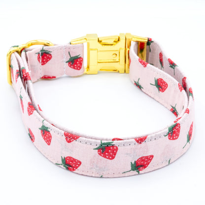 Strawberry Pink Dog Collar - Craft Designs By Kenz - Collar - Personalized Pet Collar