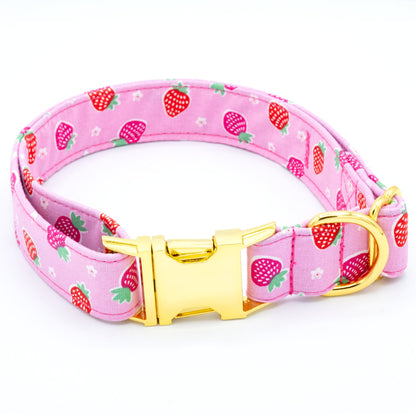 Strawberry Shortcake Dog Collar - Craft Designs By Kenz - Collar - Personalized Pet Collar