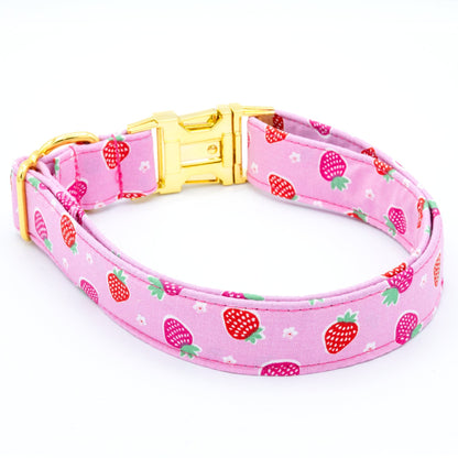 Strawberry Shortcake Dog Collar - Craft Designs By Kenz - Collar - Personalized Pet Collar