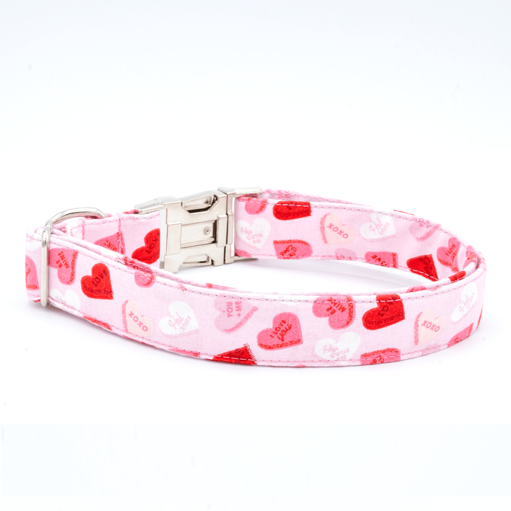 Valentines Day Hearts - Craft Designs By Kenz - XS - Personalized Pet Collar