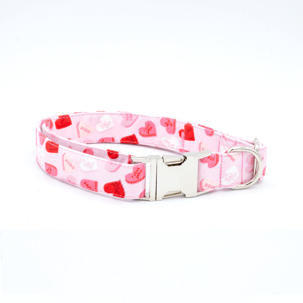 Valentines Day Hearts - Craft Designs By Kenz - XS - Personalized Pet Collar