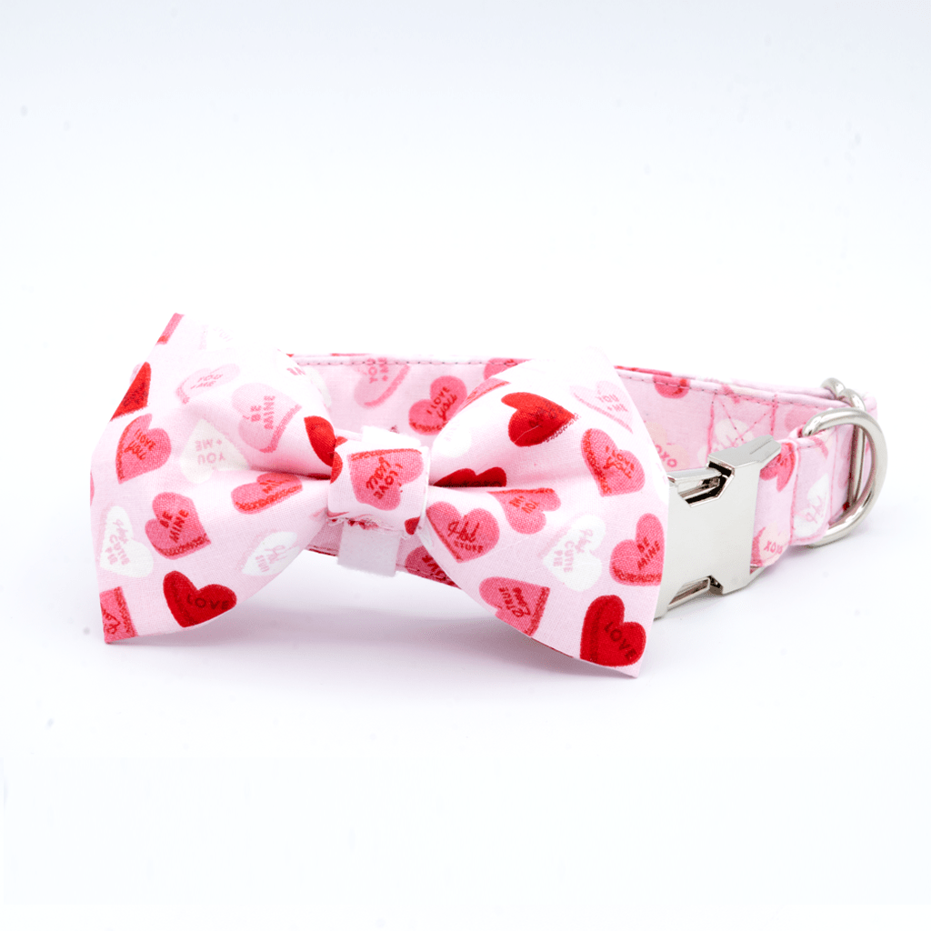 Valentines Day Hearts - Craft Designs By Kenz - XS - Personalized Pet Collar