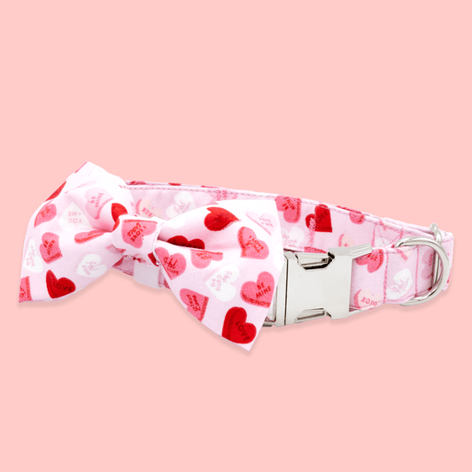 Valentines Day Hearts - Craft Designs By Kenz - XS - Personalized Pet Collar