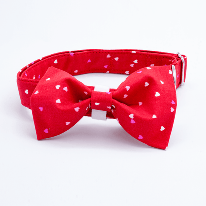 Valentines Day Tiny Hearts - Craft Designs By Kenz - Collar and Bowtie - Personalized Pet Collar
