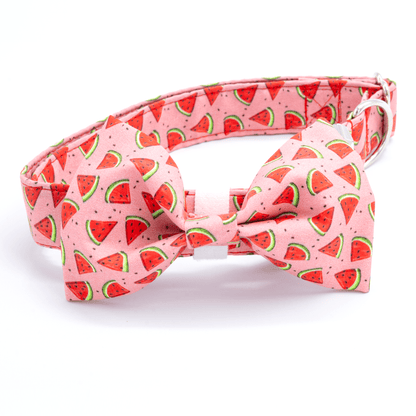 Watermelon Collar - Craft Designs By Kenz - Collar - Collar Set
