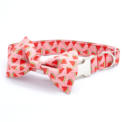 Watermelon Collar - Craft Designs By Kenz - Collar & Bowtie - Collar Set